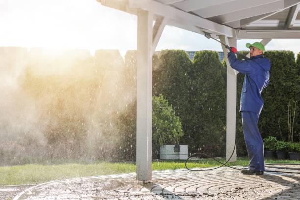 Animal Enclosure Cleaning in Lake Caroline, VA